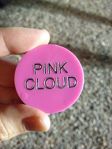 Pink Cloud by Sophia Ewing